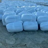 ذرت علوفه تخمیری|لوازم جانبی حیوانات|مرودشت, بیست متری بیمارستان|دیوار