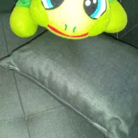 عروسک لاک پشت.|اسباب‌بازی بچه|قدس, شهر‌قدس|دیوار