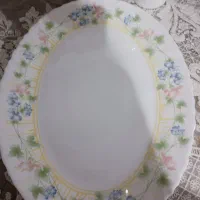 دیس پلوخوری آرکوپال