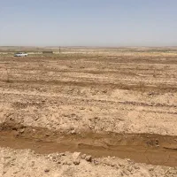 یک هکتار باغ پسته با ۴ ساعت آب