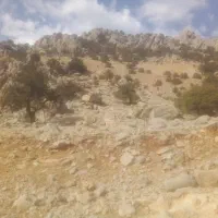 بنای همه کاره