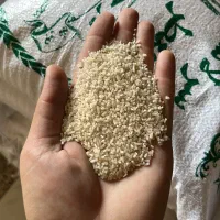 فروش برنج و نیمدانه و لاشه و ضایعات برنجی|خوردنی و آشامیدنی|گرگان, |دیوار