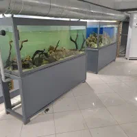 آکواریوم دو متری مناسب کافه رستوران سفره خانه|ماهی|تهران, عباسی|دیوار
