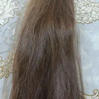 مو فروشی|آرایشی، بهداشتی، درمانی|شیراز, شهرک امیر کبیر|دیوار