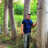 نـهـا.ل صنوبر بهترین نهال غیر مثمر و با درآمد بالا