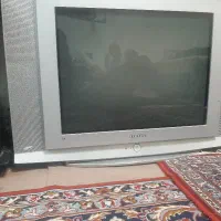 تلویزیون