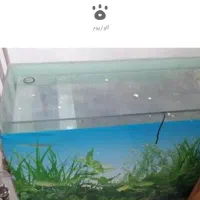 فروش آکواریوم