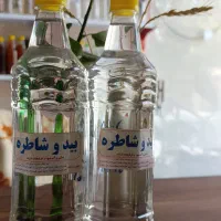 بیدو شاطره