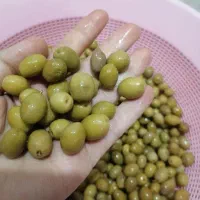 زیتون نمکی گوشتی|خوردنی و آشامیدنی|اهواز, کوی مهدیس|دیوار