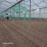 فروش گلخانه سازه پایه اسپانیایی|ماشینآلات صنعتی|بسطام, |دیوار