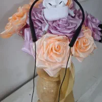 ایرپادبلوتوثی وگردنی