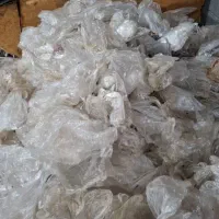 همکار خانم واقا