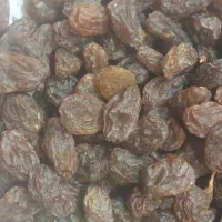 کشمش تازه امسالی