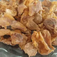 زردآلو خشک قیصی