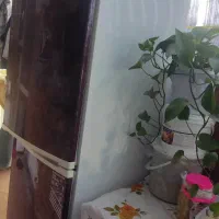 یخچال فریزر|یخچال و فریزر|الوند, |دیوار