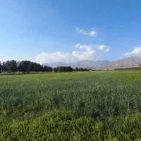 فروش زمین ۱۶۷ متری در کردها