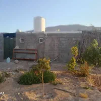 فروش باغ شهری محمودآباد میان جنگل فسا|فروش خانه و ویلا|فسا, |دیوار