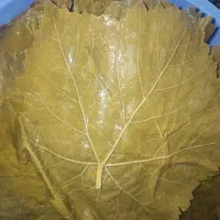 برگ شور کیلویی ۱۳۰