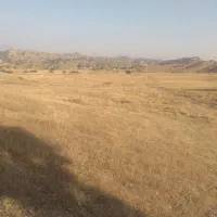 سلامسرویسمیخواهمازصفیآبادبهمدرسهامام.رضا