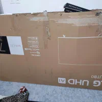 کارتن تلویزیون