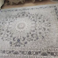 فرش 12متری|فرش|پاکدشت, پاکدشت (مامازند)|دیوار