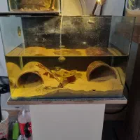 آکواریوم ۴۵ سانتی شیشه خم