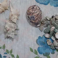 لوازم آکواریوم|ماهی|سوسنگرد, |دیوار