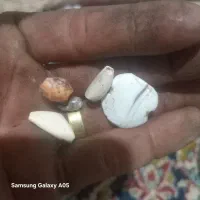 مهره باستانی