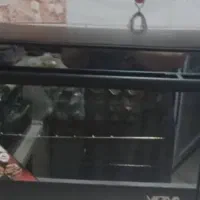 تستر نو وجدید ویونا