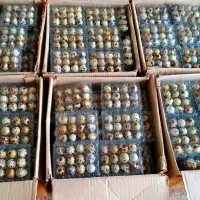 همکاری با ویزیتور