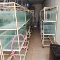 آکواریوم و پایه