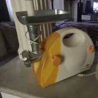 چرخ گوشت