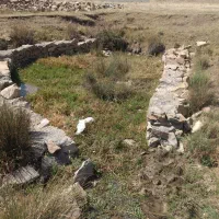 فروش زمین برای اجرای طرح و....|فروش زمین و ملک کلنگی|خلخال, |دیوار