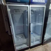 یخچال سایدون و زیمان تاج دار