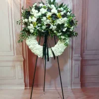 گل طبیعی تاج جام تاجگل دایره ای هلال درباری شبکه