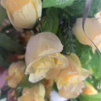 علوفه رایگان