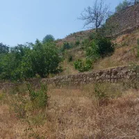 زمین باغی در روستای جورد