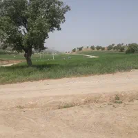 اجاره زمین کشاورزی|اجارهٔ دفتر صنعتی، کشاورزی، تجاری|کوهدشت, |دیوار