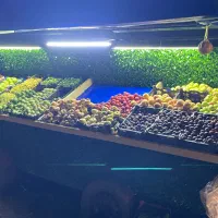 فروش گاری میوه|فروشگاه و مغازه|ماسال, |دیوار