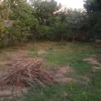 283متری محصورشده/سندتک برگ/3کنتور وصل/منطقه آزاد|فروش زمین و ملک کلنگی|بندر انزلی, جفرود پایین|دیوار