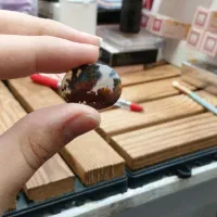 سنگ طبیعی شجر