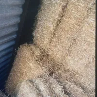 پرس گندم درجه یک امبارشده