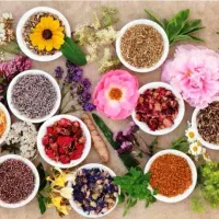 کار در منزل برای خانم هایی که جویای کار هستن