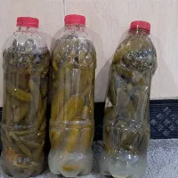 خیارشور|خوردنی و آشامیدنی|قروه, |دیوار