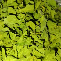 برگ خشک سدر و دانه کنار خشک