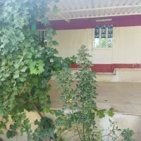 فروش باغ|فروش خانه و ویلا|بیلوار, |دیوار