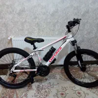 دوچرخه ۲۴|دوچرخه، اسکیت، اسکوتر|ورامین, شهرک ولیعصر|دیوار