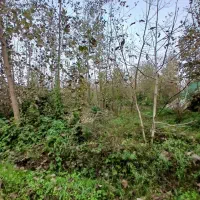 زمین در لاهیجان