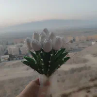 دسته گل عروس ماندانا|گل مصنوعی|بندرعباس, |دیوار