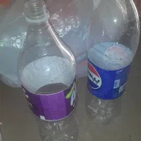 ۲۰۰ عدد هستن شسته شده تمیز مرتب